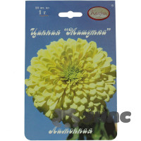 К Циния Мишутка лимонная Каприс