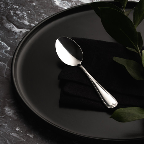 SATOSHI Эвора Ложка чайная 6 пр. на блистере