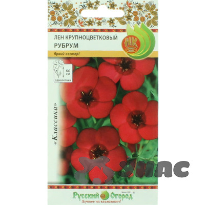 Лен Рубрум крупноцветковый  НК Ц