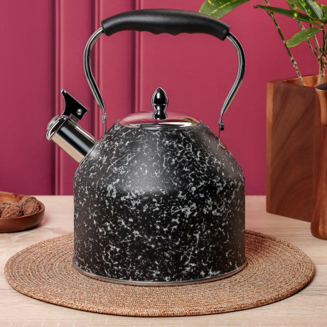 VETTA Чайник стальной 2,7л "Терра", индукция