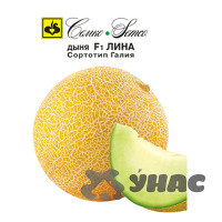 Дыня Лина Семко Ц