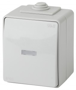 ЭРА Эксперт 11-1610-03 выкл. проходн. инд. IP65, 10АХ-250В, ОУ серый (10/100/1600) 2002