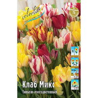 Тюльпан Клаб Микс 11/12 7 шт