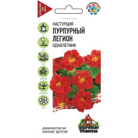 Настурция Пурпурный легион Удач сем Гавриш Ц