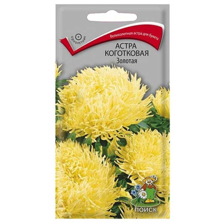 Астра Золотая коготковая Поиск Ц