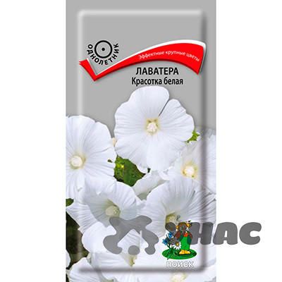 Лаватера Красотка белая Поиск Ц