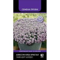 Алиссум Клеа Кристал Лавендер Шейдес Поиск Ц