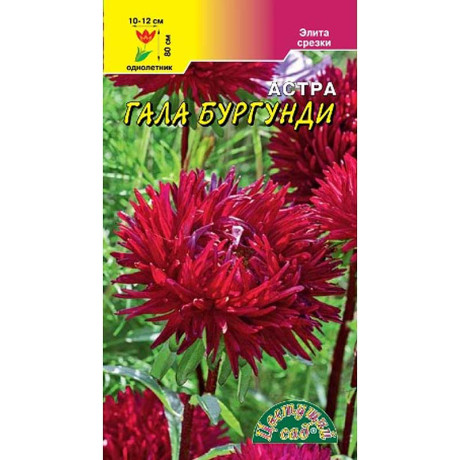 Семена Астра Гала Бургунди густомахровая Цветущий Сад Ц