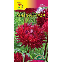 Семена Астра Гала Бургунди густомахровая Цветущий Сад Ц