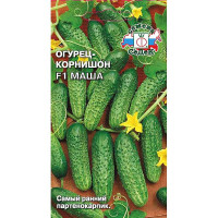 Огурец Маша Седек Ц
