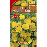 Энотера Желтая свеча Аэлита Ц
