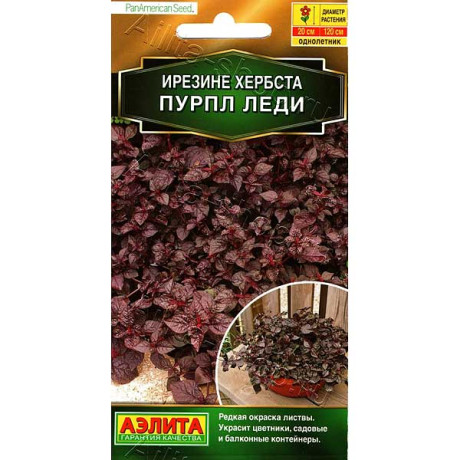 Ирезине Пурпл леди Аэлита Ц