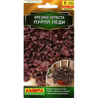 Ирезине Пурпл леди Аэлита Ц