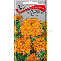 Бархатцы Фантастик микс Поиск Ц
