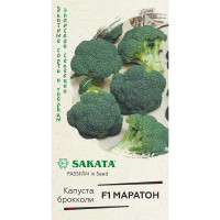 Капуста брокколи Маратон Гавриш Ц
