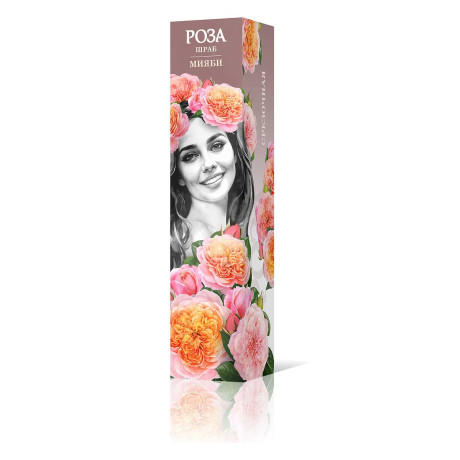 Роза шраб Мияби Садовита