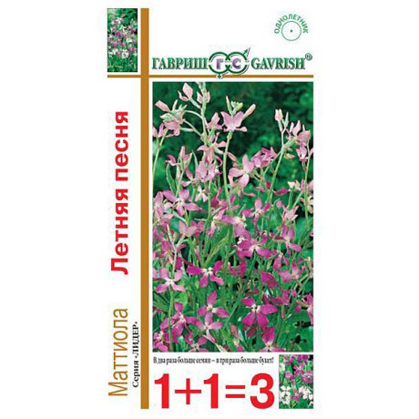 Маттиола двурог Летняя песня 1+1 Гавриш Цх10