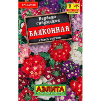 Вербена Балконная, смесь "Лидер" Аэлита Ц