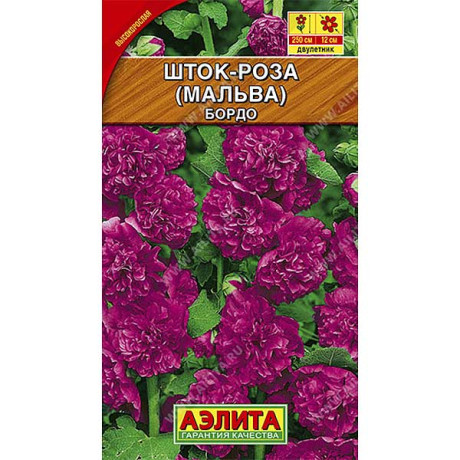 Шток-роза Бордо  Аэлита Ц