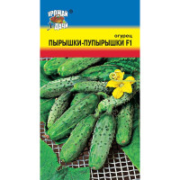 Огурец Пырышки-Пупырышки Урожай у дачи Ц