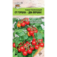 Семена Томат От горшка - два вершка Урожай у дачи