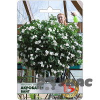 Импатиенс Акробат Вайт Биотехника Ц