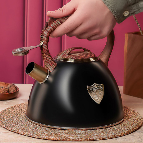 VETTA Чайник стальной 2,8л "Форно", индукция