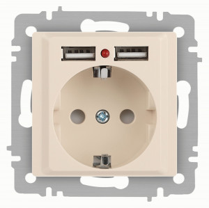 ЭРА Intro Accent мех. роз. СУ 1 мест. 16А 250В (земля, шторки + 2хUSB) слоновая кость 6-410-02