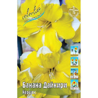 5076 Шоу-Бокс Нарцисс Банана Дайкири 12/14 50 шт