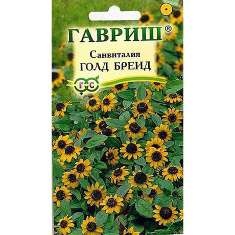 Санвиталия Голд Бреид Гавриш Цх10