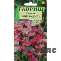 Кларкия Наша радость Ноготковая Гавриш Ц