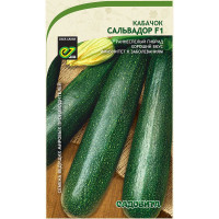 Кабачок Сальвадор F1 5шт Enza Zaden/Садовита Ц