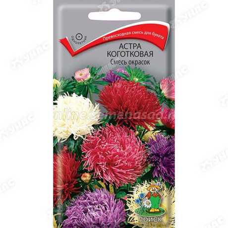 Астра смесь коготковая Поиск Ц