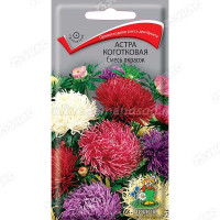 Астра смесь коготковая Поиск Ц