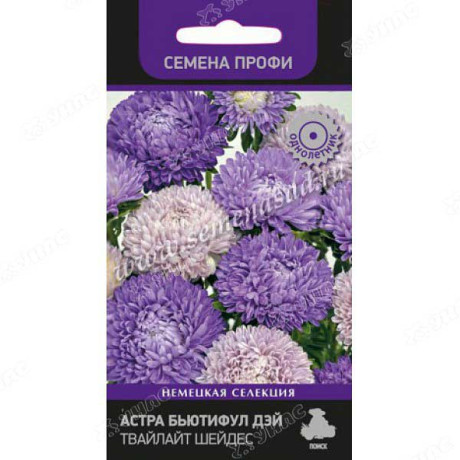 Астра Бьютифул Дэй  Твайлайт Шейдес Поиск Ц