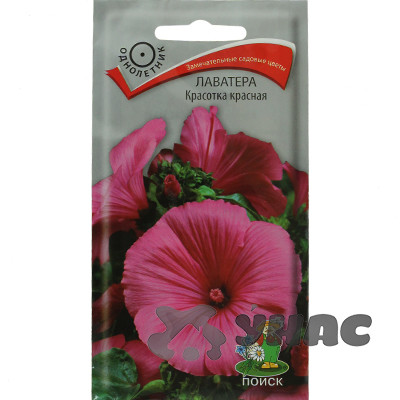 Лаватера Красотка красная Поиск Ц