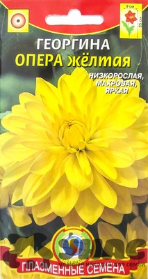 Георгин Опера Желтая Плазма Ц