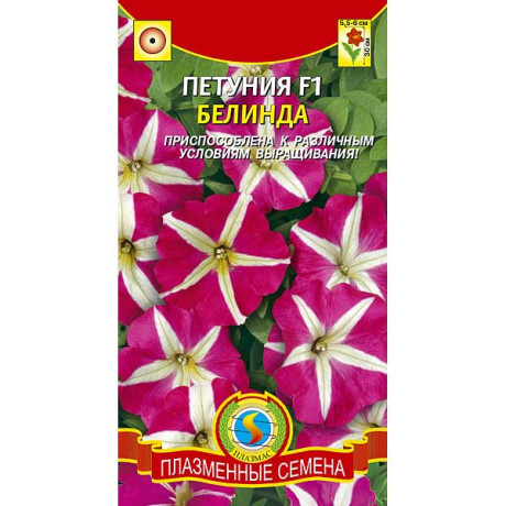 Петуния Белинда Плазма Ц