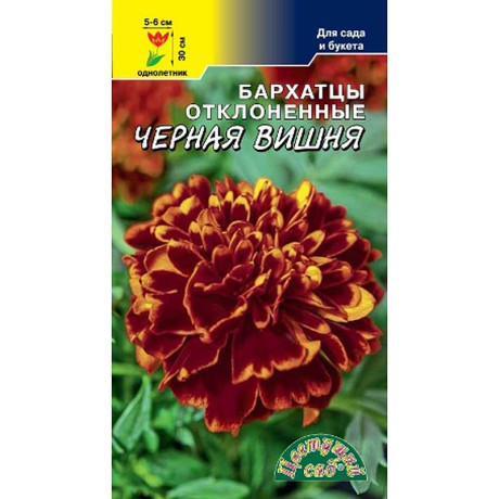 Семена Бархатцы Черная Вишня Цветущий Сад Цх10