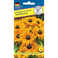 Рудбекия Мармелад Престиж Ц