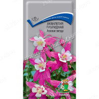 Аквилегия Розовая звезда Поиск Ц