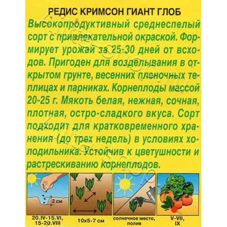 Редис Кримсон гиант глоб Аэлита Цx10