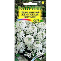 Иберис Жемчужная Россыпь Гавриш Ц