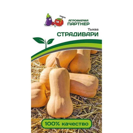 Тыква Страдивари Партнер Ц