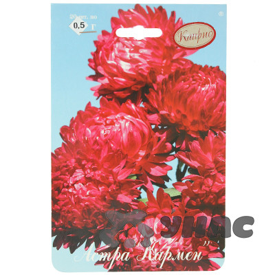 К Астра Кармен Каприс