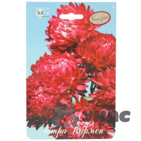 К Астра Кармен Каприс