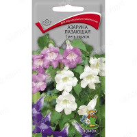 Азарина лазающая Смесь окрасок Поиск Ц