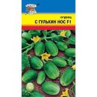 Огурец С Гулькин нос Урожай у дачи Ц