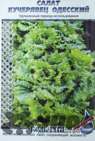 Салат Одесский кучерявец "Кольчуга" НК Ц