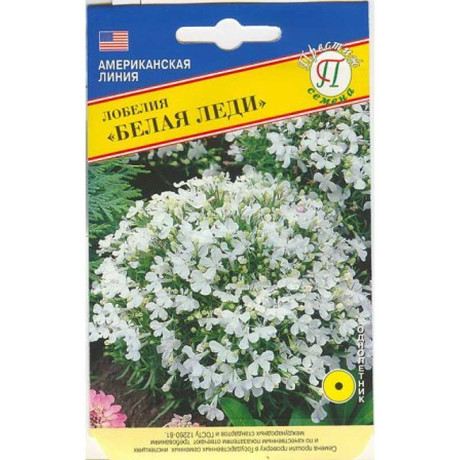 Лобелия Белая леди Престиж Ц